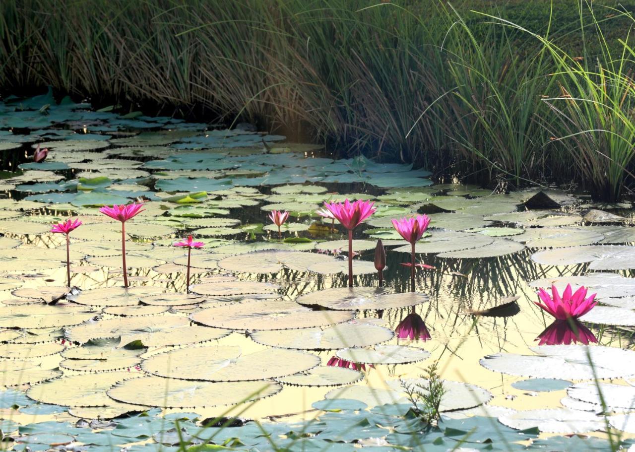 Niraamaya Wellness Retreats Backwaters And Beyond Кумараком Екстер'єр фото